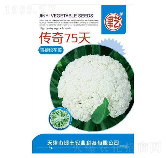 花菜種子-傳奇75天-邯豐農(nóng)業(yè)