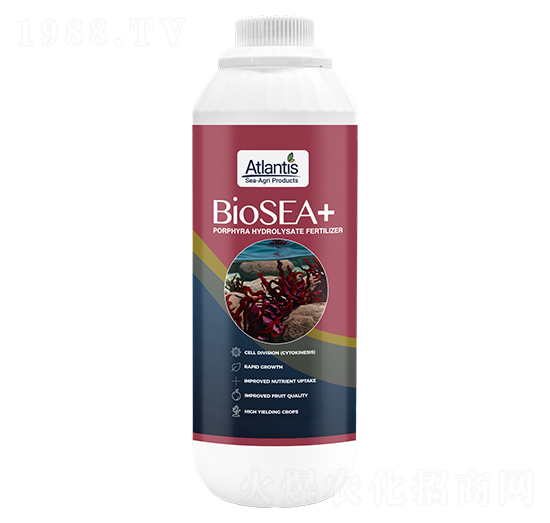 �͜�����ø�����-�{�Kɭ