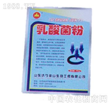 ��ɽ����-�������