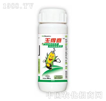 �����-̩�