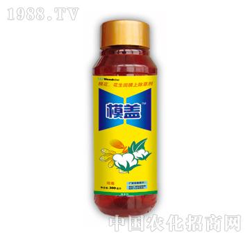 Ĥ�w-̩�(y��ng)