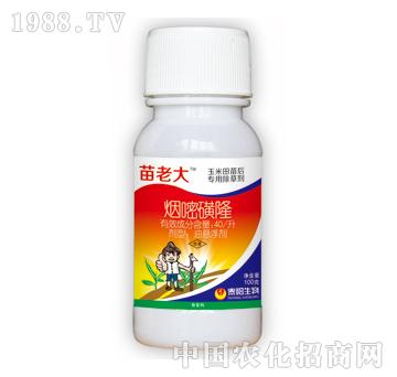 40/�����׻�¡-���ϴ�-̩�(y��ng)