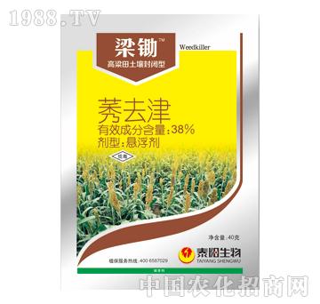 38%ݬȥ��-���z-̩�(y��ng)