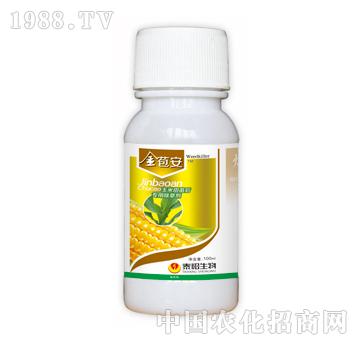 �����-̩�(y��ng)