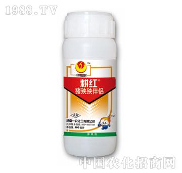 ���t�i�����H-̩�(y��ng)