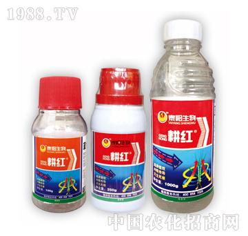 ���t-̩�(y��ng)