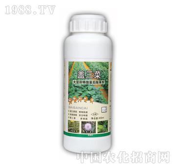 �w����-̩�