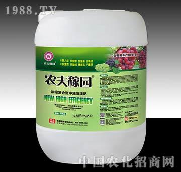 ���ћ_ʩ��-�r��ڈ@