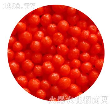 �tɫ��֬��Ĥ����-���r(n��ng)�ʘI(y��)