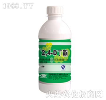 72%2��4�ζ���-�G��