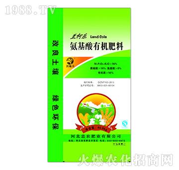 �������ЙC����-�m��-���r�ʘI(y��)