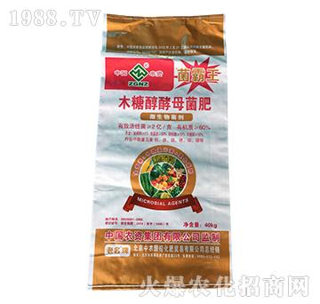 ľ�Ǵ���ĸ����-������-����Դ