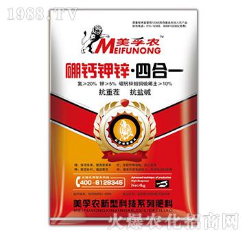 ���}��\���ĺ�һ