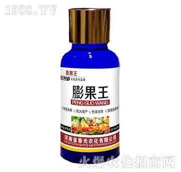 �Ϲ����-�����-�����r��