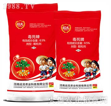 ��������ˎ��-0.5%������-�hҊ�r(n��ng)�I(y��)