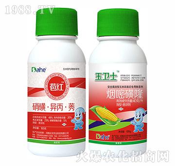 ���t+���l(w��i)ʿ-�h(yu��n)Ҋ�r(n��ng)�I(y��)