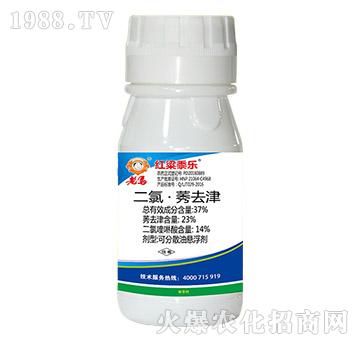 37%���ȡ�ݬȥ��-�t����-�����r�I(y��)