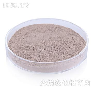 �ͺ�ѿ�ߗU��-�G�]����