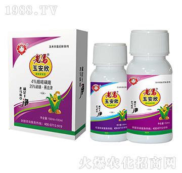 ���R�����ײ�-�����r(n��ng)�I(y��)