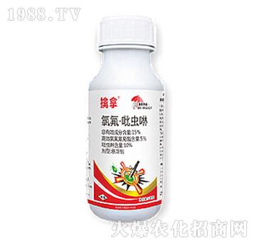 15%�ȷ������x��-����-��Ѹ