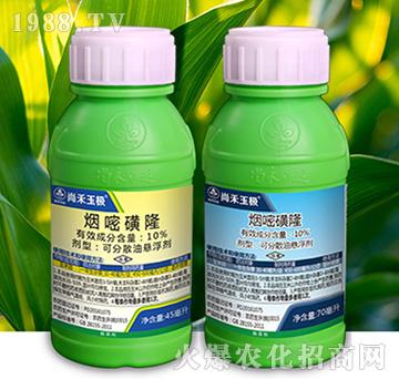 10%���׻�¡-�к���O-�к����_(d��)