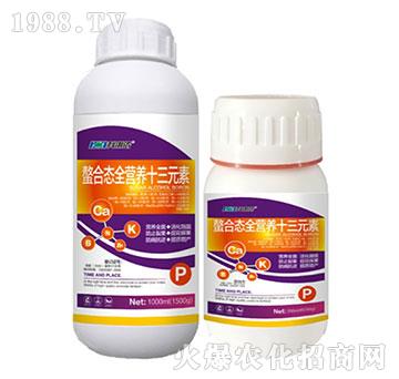 ���ϑB(t��i)ȫ�I�B(y��ng)ʮ��Ԫ��-�����r