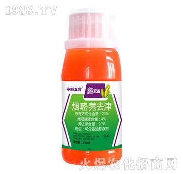 24%���ס�ݬȥ��-�ι��w-�����Ѻ�