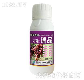 ���ь��øߝ�s��(d��ng)�ﵰ��������Һ-��Ʒ-���S�f¡