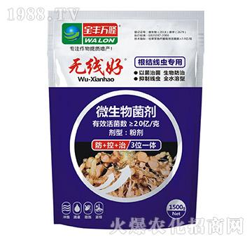 ���Y���x����΢�������-�o����-���S�f¡