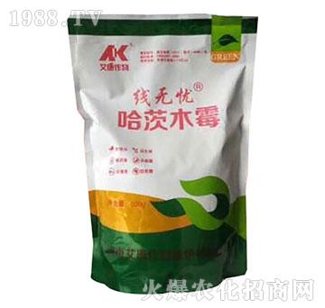 ����ľù-���o�n-��������