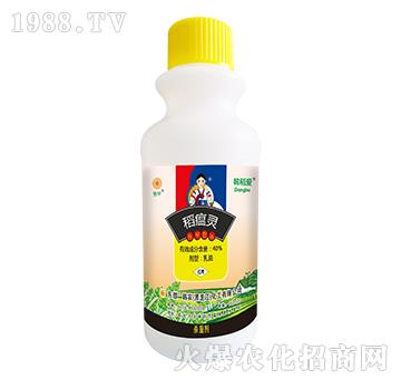 40%�����`-�n����(��i)-�n�r(n��ng)����