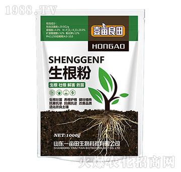 ������-Ҽ������