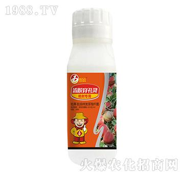 �Ҙ䌣�����z�����`-ϲ���r-ϲ�m��