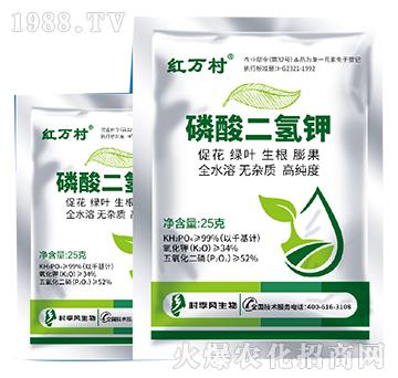 ��������-���˹����r��