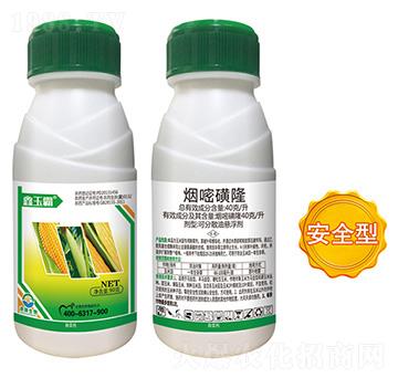 40��ÿ�����׻�¡-�����-��������