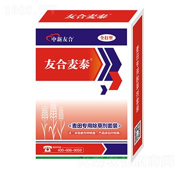 ����ó��݄����b-�Ѻ���̩-�����Ѻ�