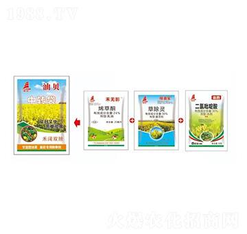 ���{(l��n)���Ͳ�������ó��݄�-��ؐ-ϲ�S��