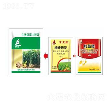 �������s�ݽ�Q����-ϲ�S��