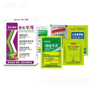 ����������ó��݄��M��-�滯����-�滯���h