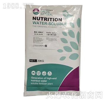 ����Ԫ��ˮ�ܷ���19-19-19+TE-������