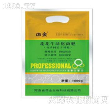 �����������-�������