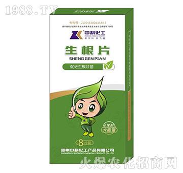 ����Ƭ-�пƻ���