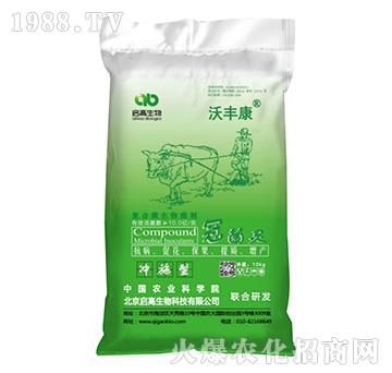 ��(f��)��΢�������-�ھ��`-���S��-��������