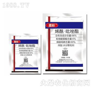 66%ϩ����������-˪��-�|������