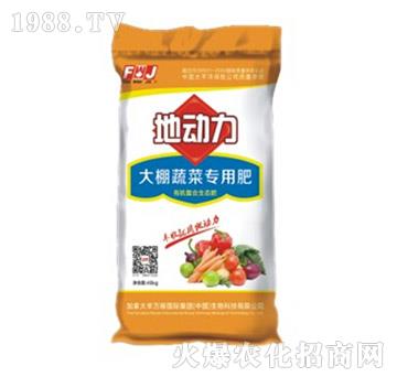 �����߲ˌ��÷�-�؄�(d��ng)��-�S�f(w��n)��