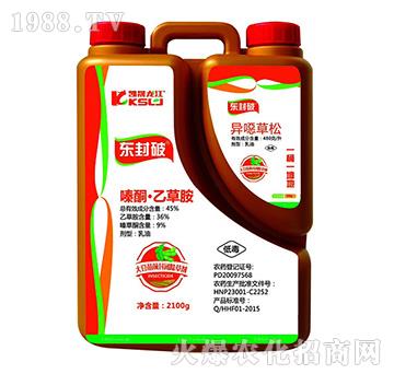 480��ÿ�����f����+45%�ͪ���Ҳݰ�-�|�L��-�P������