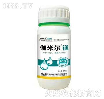 ٤�נ��V-�_˼ķ-ľ�̼ь�