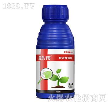 ��ù�����Ú�����-���r(sh��)��-�к���(r��n)��