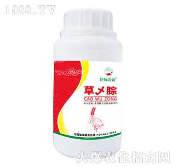 �݁W��-���