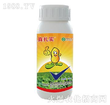 48%���x(ch��ng)�����p��-������(sh��)-���r(n��ng)(li��n)��